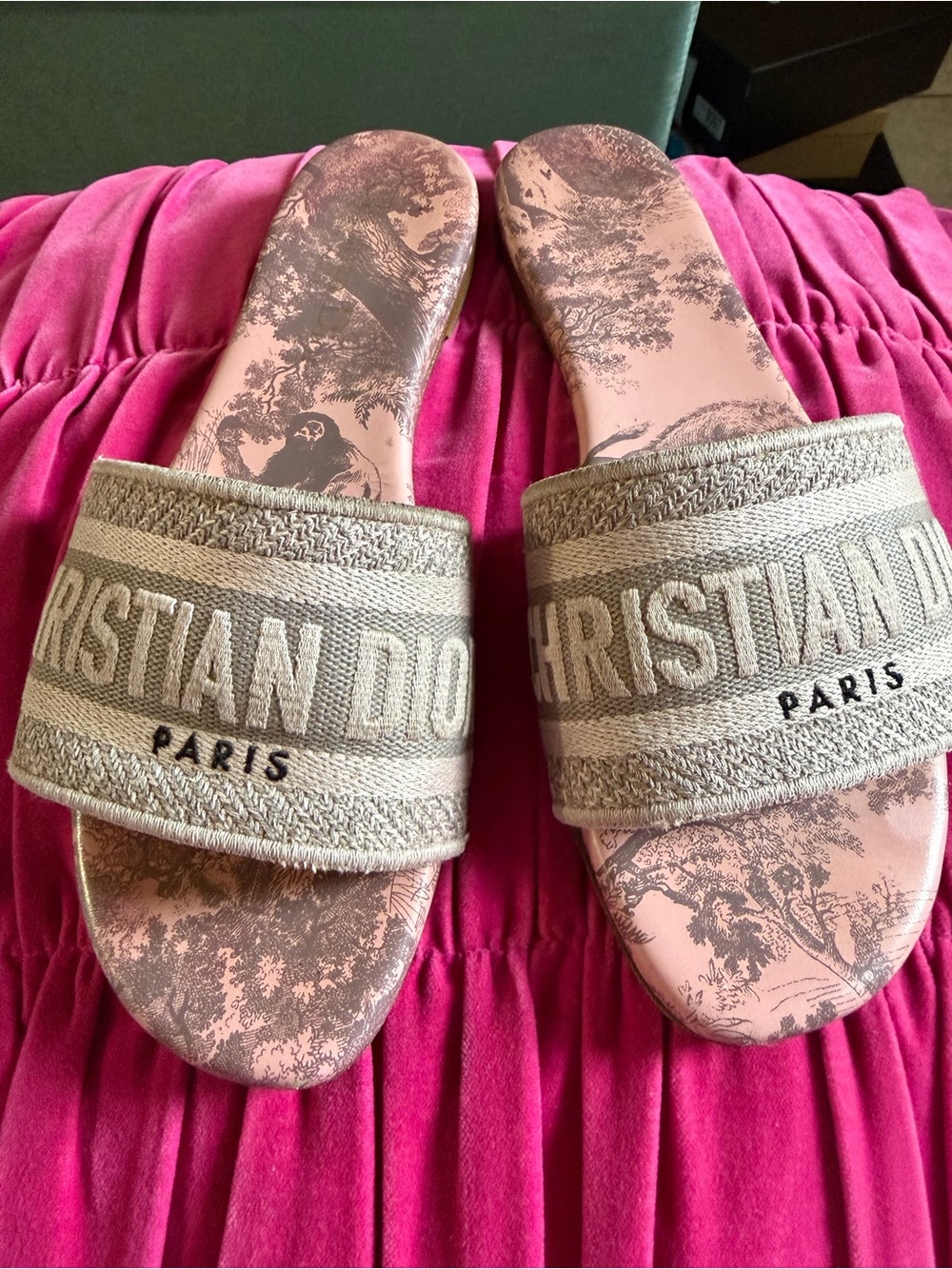 Dior Embroidered Logo Slide Sandals